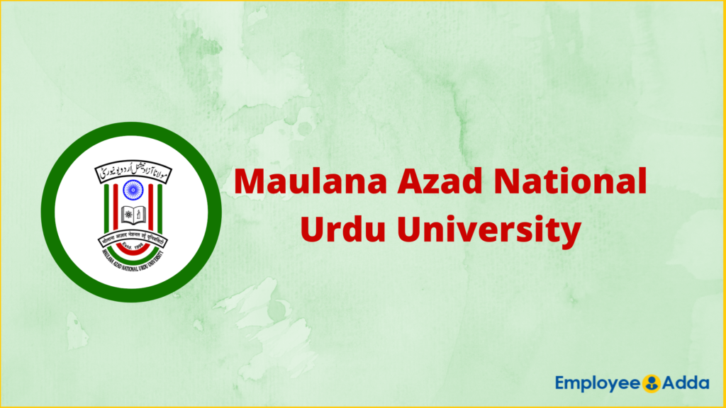 MANUU Recruitment 2025 – Apply Online Vacancies BBM JOBS NEWS