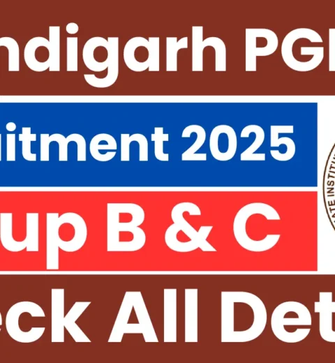 Bank of Baroda SO Recruitment 2025: Apply for 330 Vacancies BBM JOBS NEWS