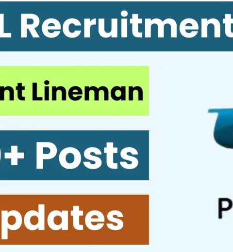 DSSSB Recruitment 2025: Notification Out for Various Posts, Check All Details BBM JOBS NEWS