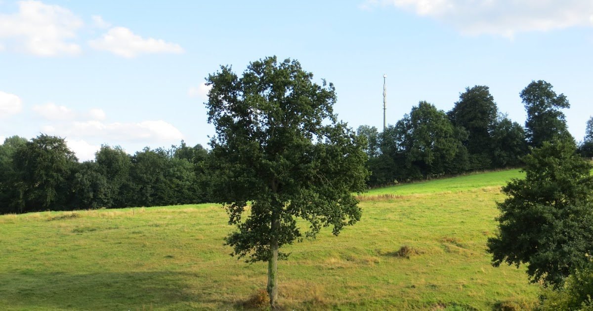 Labor doctor: He travels in France