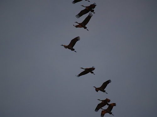 ACRL/NY events and functions move very soon