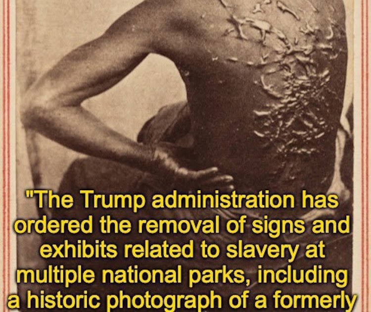 American history whitening