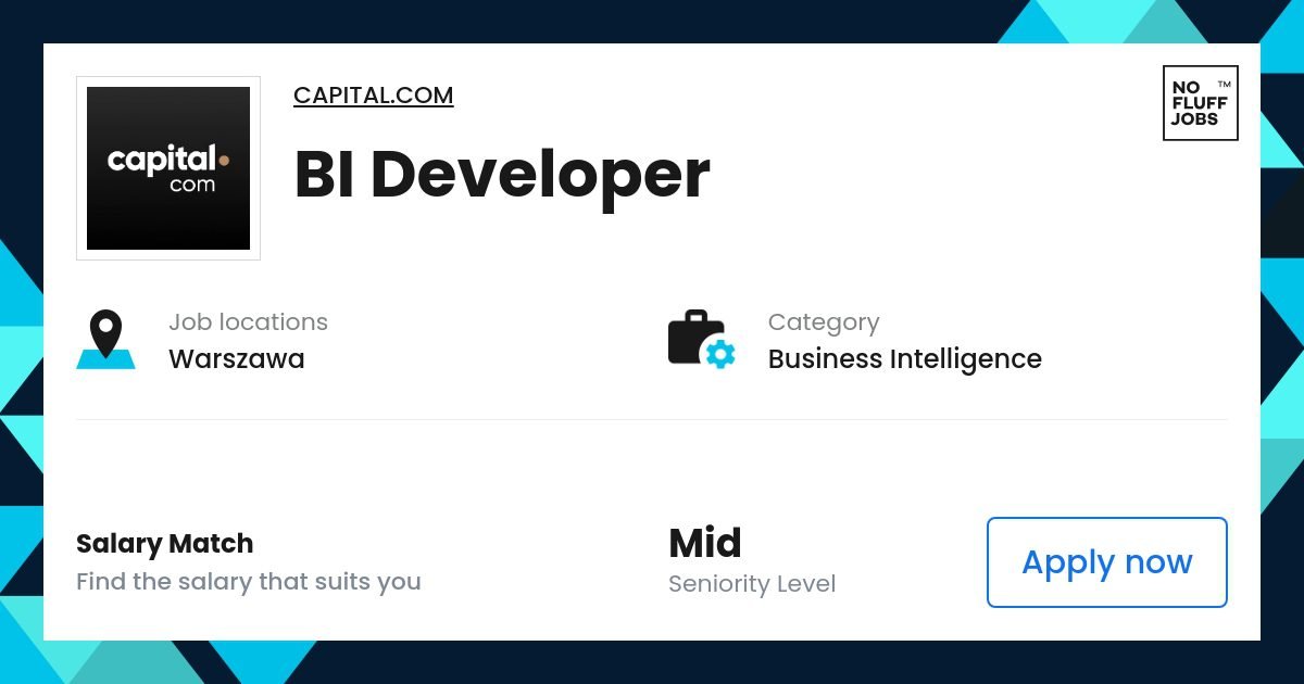 Bi developer function | Business Intelligence Capital.com | Warsawa