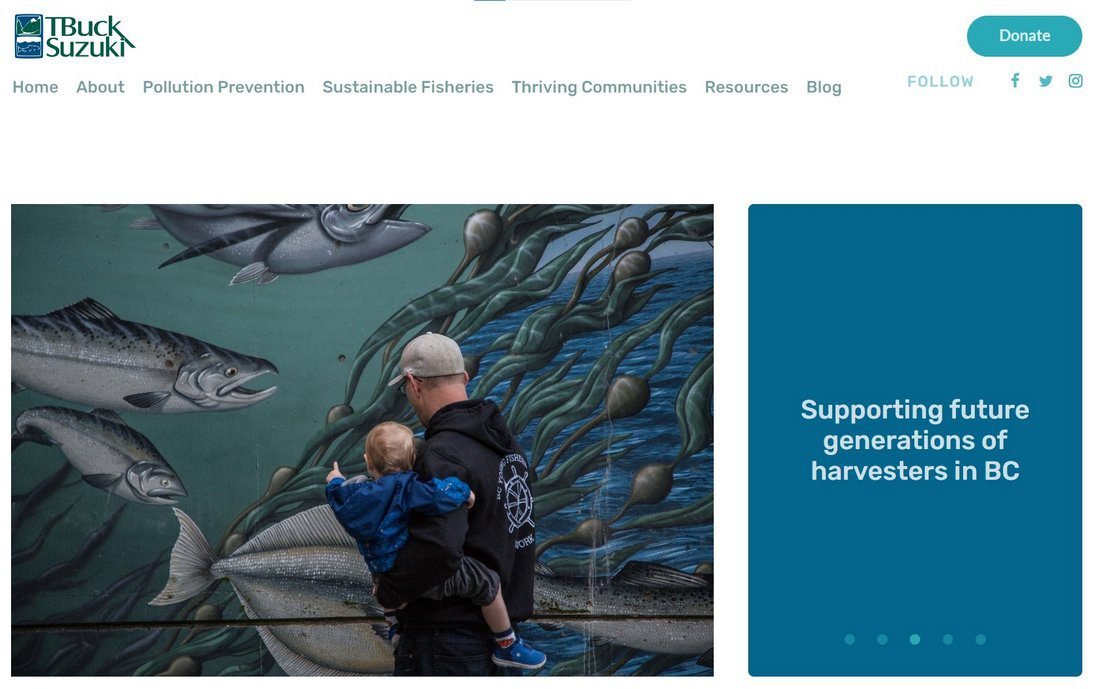 Communications Director jobs, sustainability communication campaigns