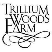 Data admission job for a remote in Trillium Woods Farm & Creamry in Irvin, California
