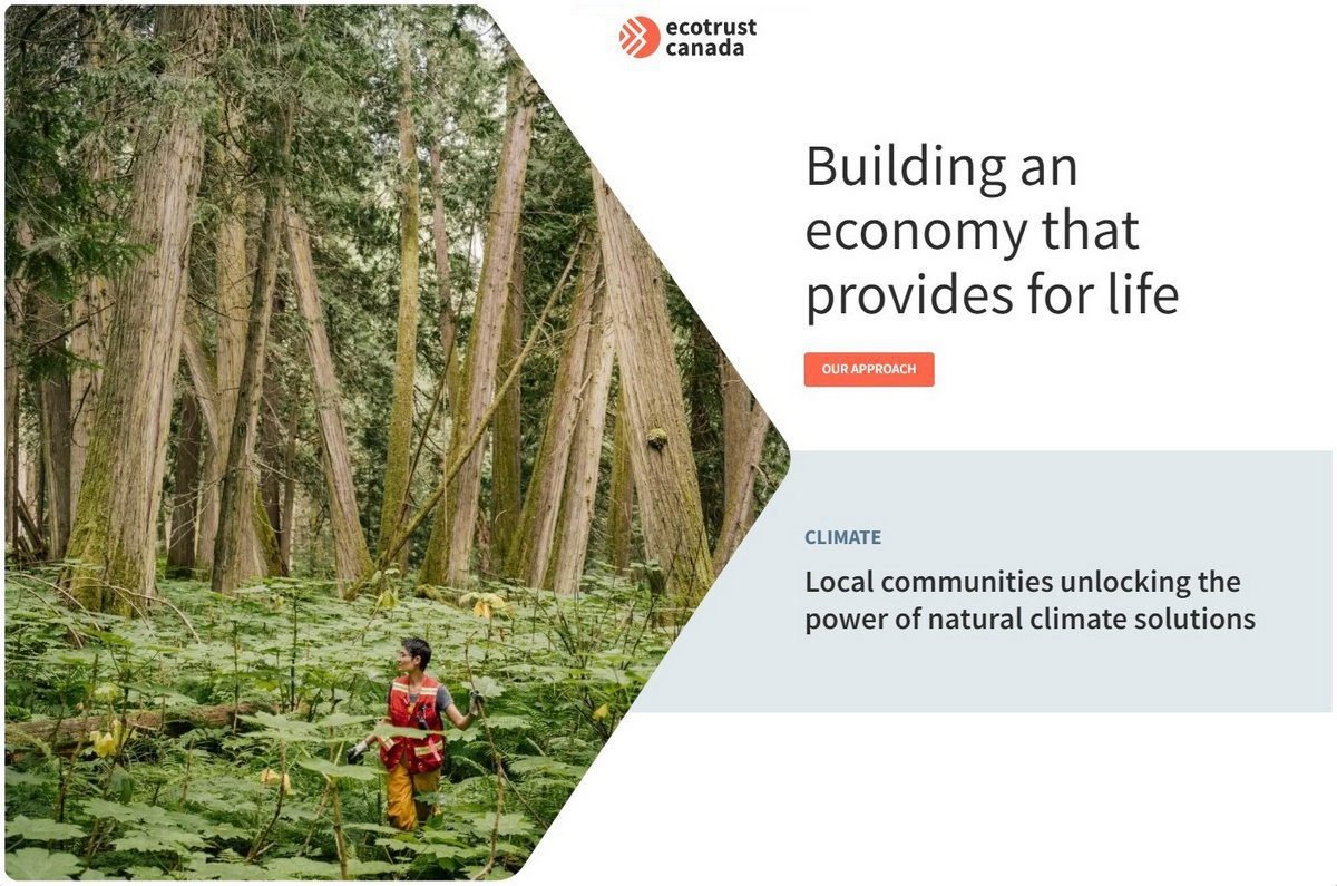 Economy and economists' jobs, organizations that depend on values, social welfare, society's flexibility