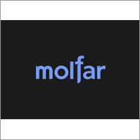 Fullstack Developer вINT-ґенц Mol Molfar, киїї,