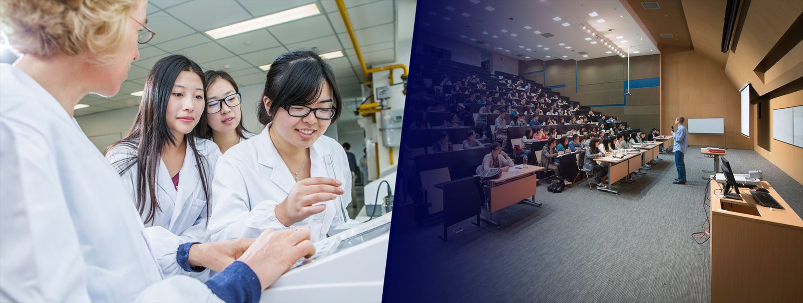 Head of the Physics Department at Xi'an Jiaotong