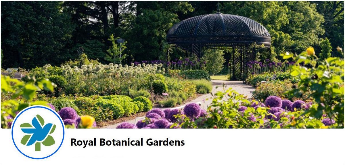 Interprete de la Nature, Natural Education, En Plein Air Et Environnementale, Naturalist