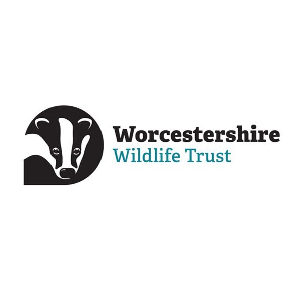 Main Environmental Science - Wild Wildlife Consulting Consulting