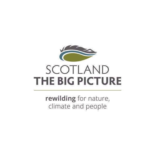 Northwoods Support Officer - Scotland: The Big Image