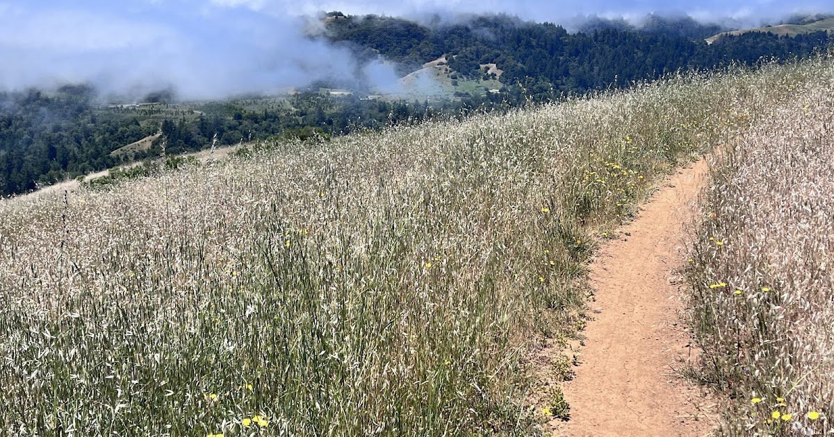 Part 1, providing a special water wheel