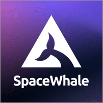 Product owner - Business Intelligence в Spacewhale, киїї,