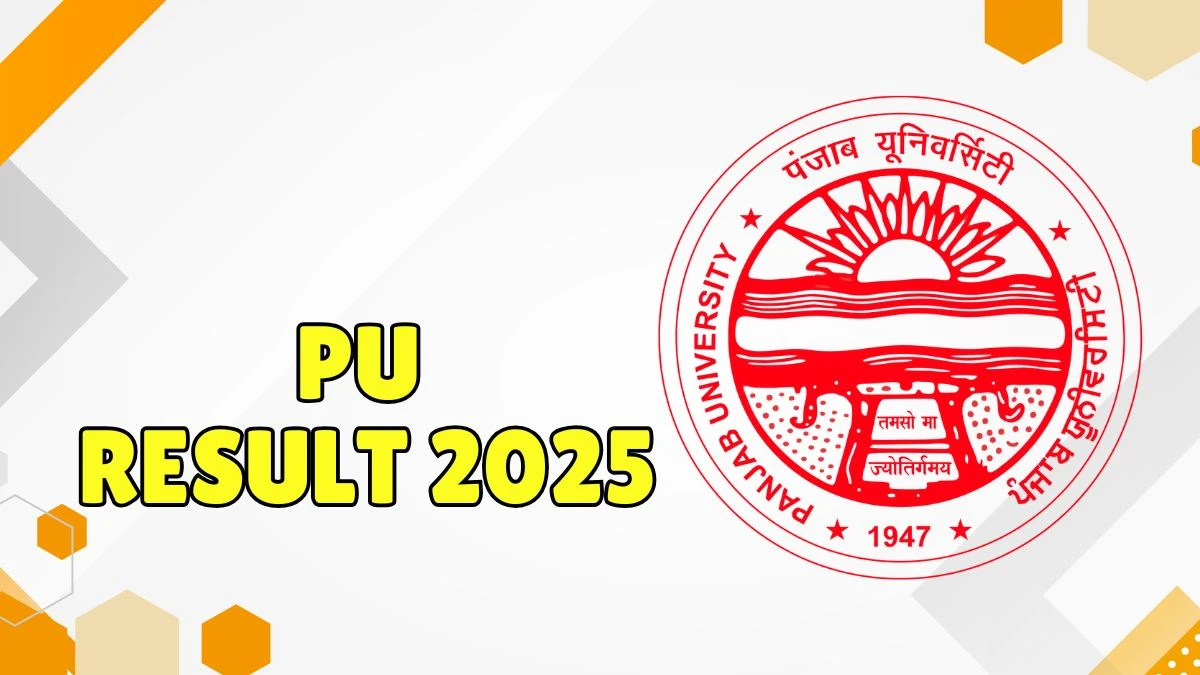 PU Result 2025 Out at puexam.in Direct Link to Download 2nd, 4th, 5th, 6th, 7th, 8th Result