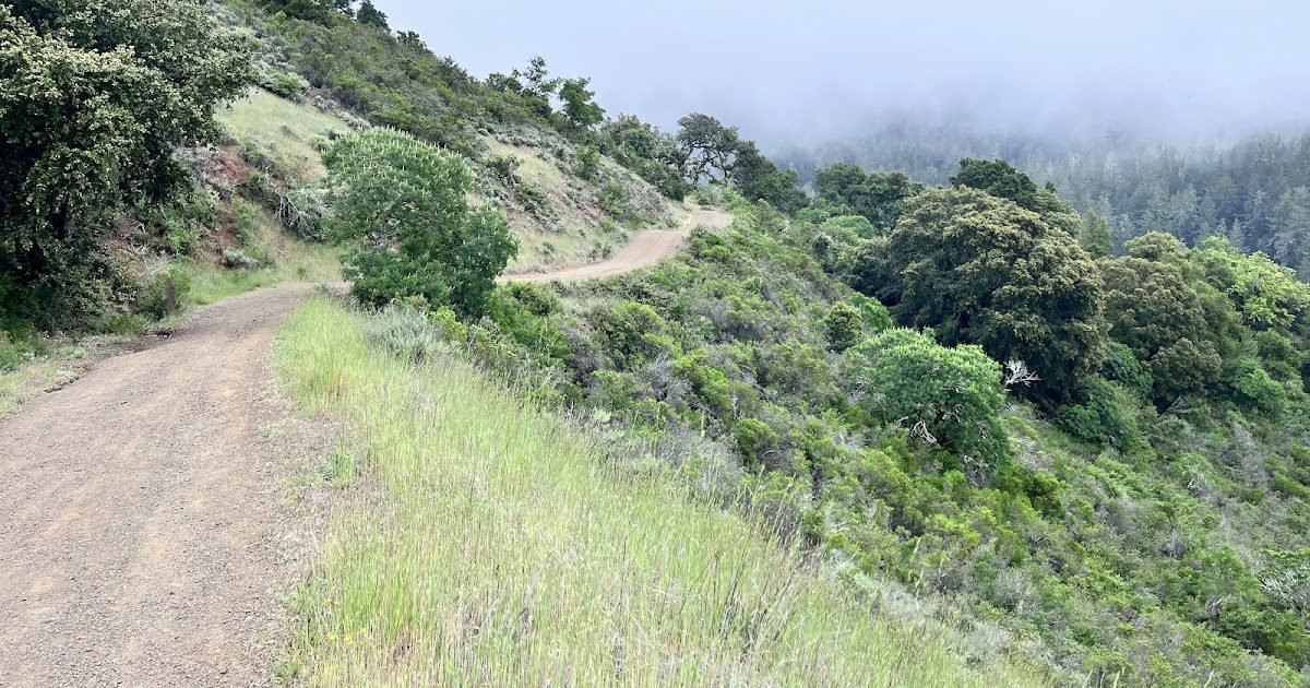 Return to Ultra training. Some hill, but do not train heat.