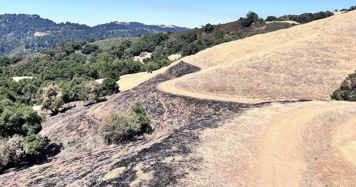 Some measles, glut and fire!