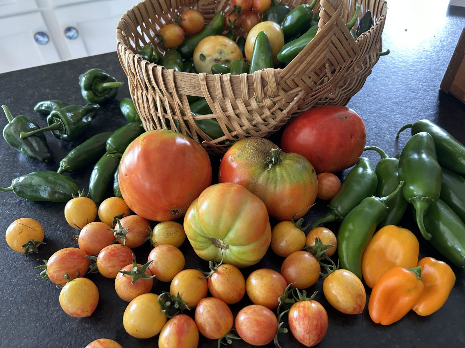 Sometimes the blessings require work - life and good (Ayoub 10:12)