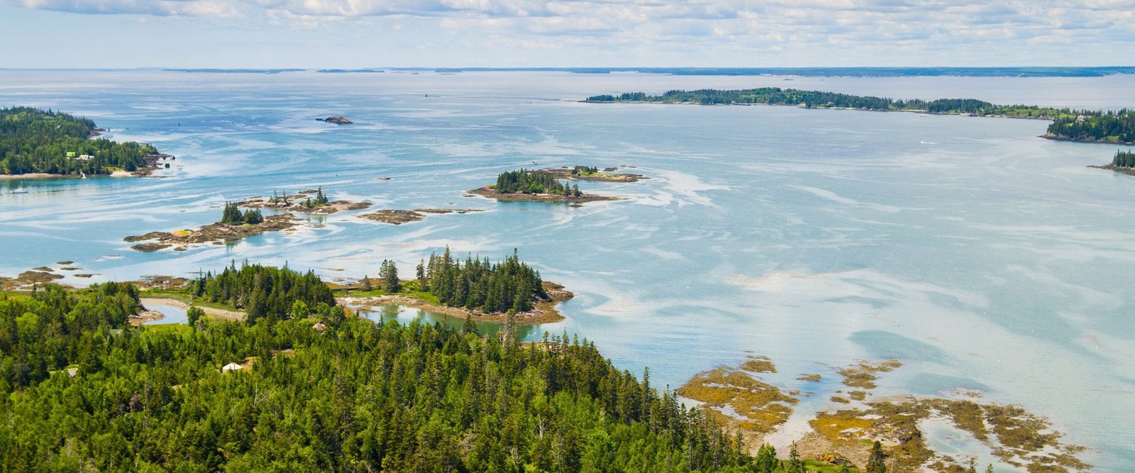 The Swordfish Hunters of North Haven Island