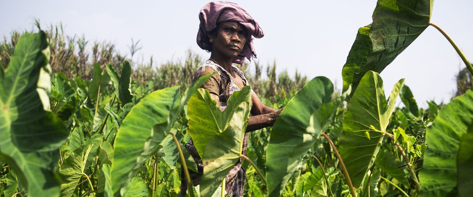 The Vanishing Ways of the Tribes of Wayanad
