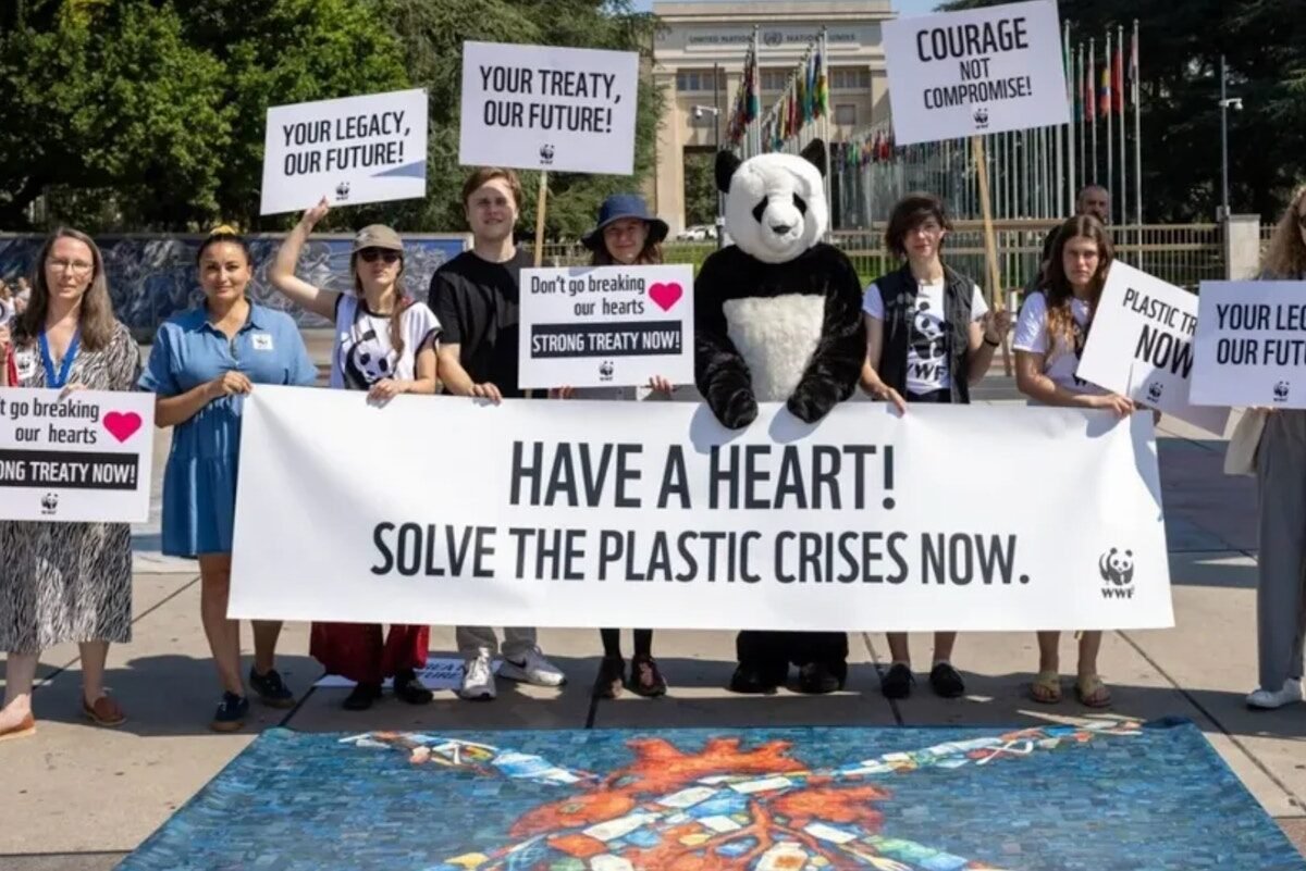 WWF disables specialized employees amid restructuring News | Environmental works