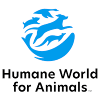Web designer, ECRM at Humane World for Animals