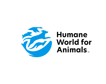 Web developer, ECRM - authentic jobs