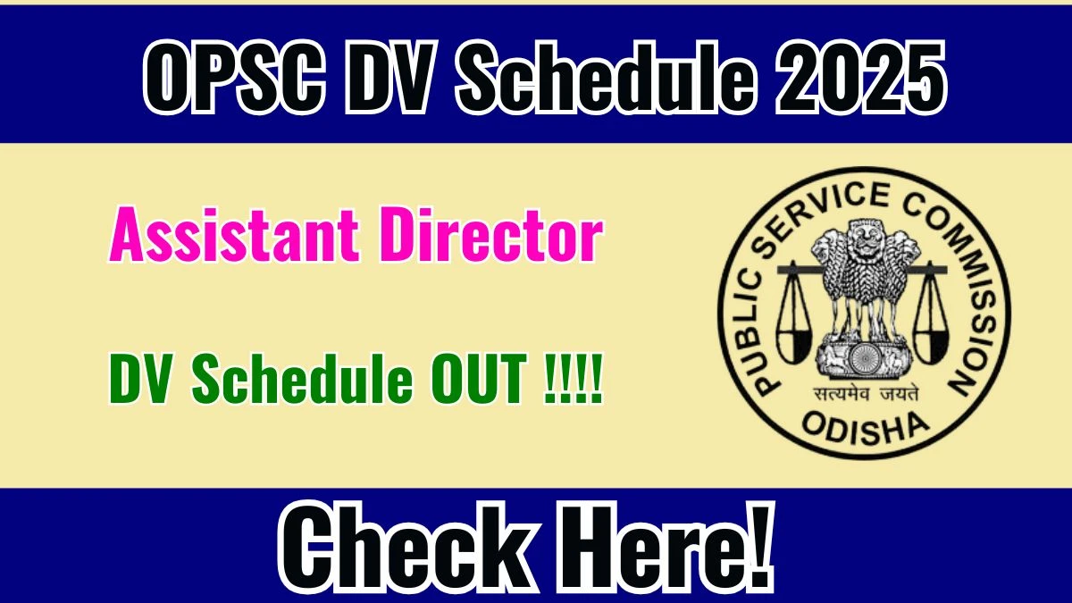 OPSC Assistant Director DV Schedule 2025: Check Document Verification Date @ opsc.gov.in