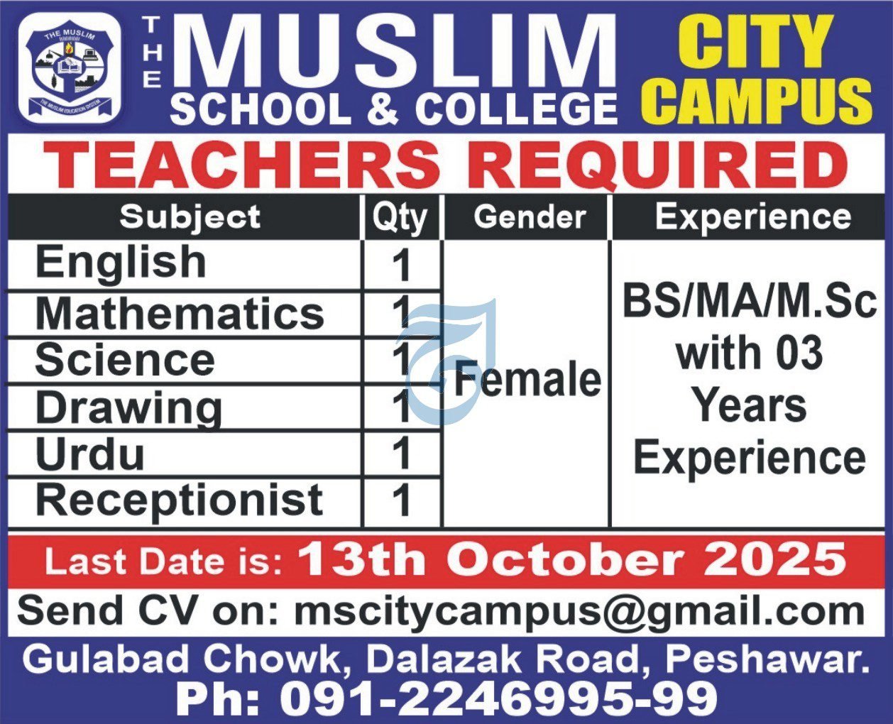 The Muslim School & College City Campus Peshawar Jobs 2025