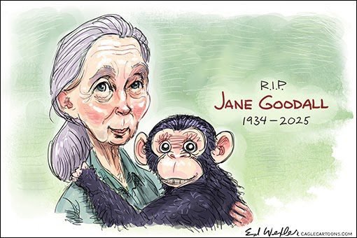 Jin -Godal made this world a better place