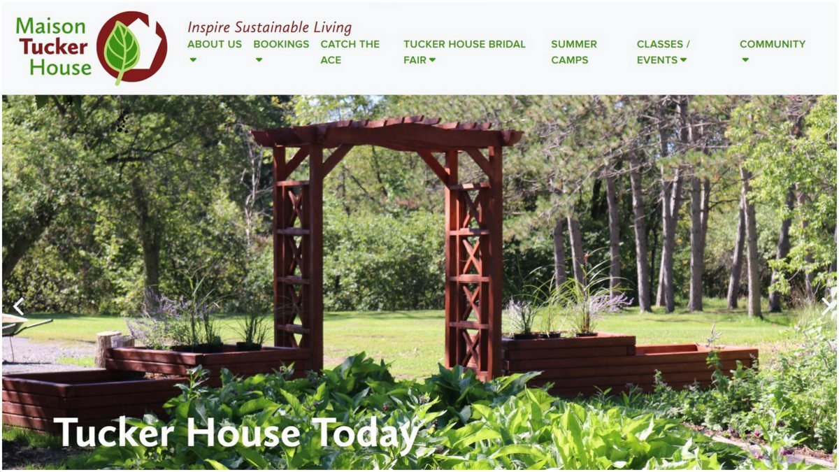 Ottawa is not profitable and charities, CEO and management functions