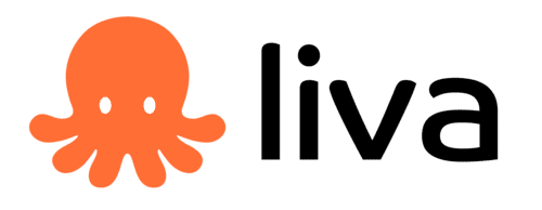 Procedures are provided at LIVA AI