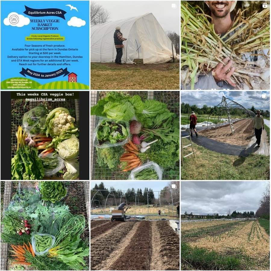 Summer and youth functions in the open air, CSA Agriculture / Agriculture supported by society