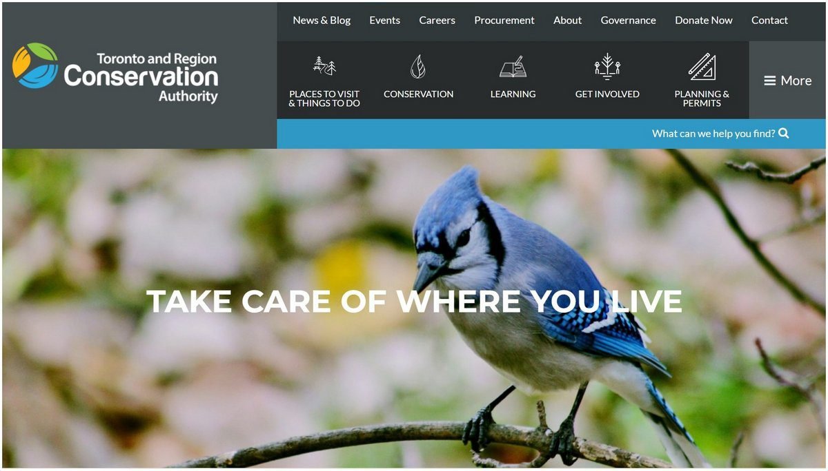 Urban and urban forestry functions