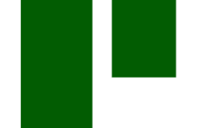 Full Stack developer/debugger at pline.ai