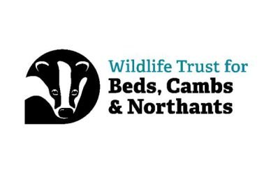 Great Fen Project Officer - Bedfordshire, Cambridgeshire and Northamptonshire Wildlife Trust