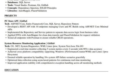 Roasting my resume. I haven't received any calls in the last 40 days. I didn't get any internships or job opportunities except for the lowest level one.